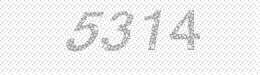 Visual security code — type the characters shown in the image